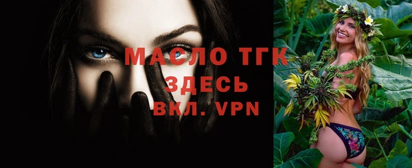 дмт Инта