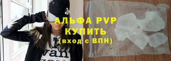 индика Иннополис