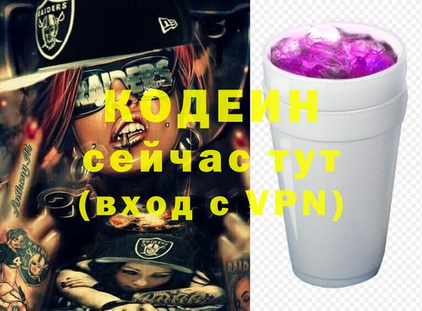 индика Иннополис
