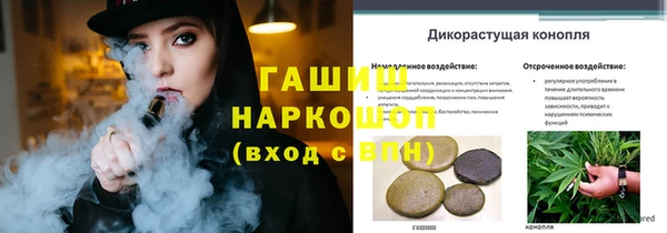 дмт Инта
