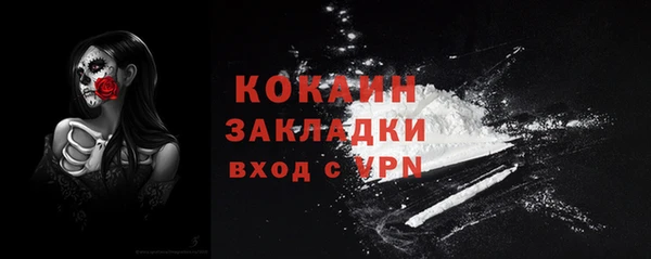 дмт Инсар