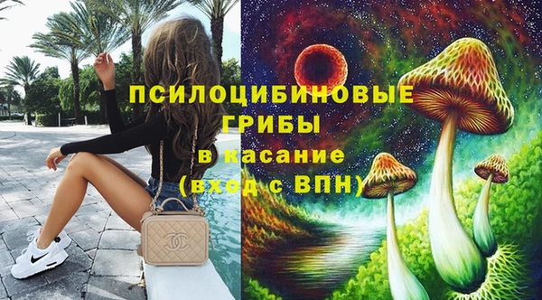 индика Иннополис
