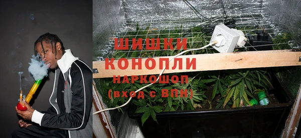 дмт Инсар
