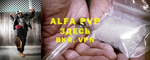 индика Иннополис