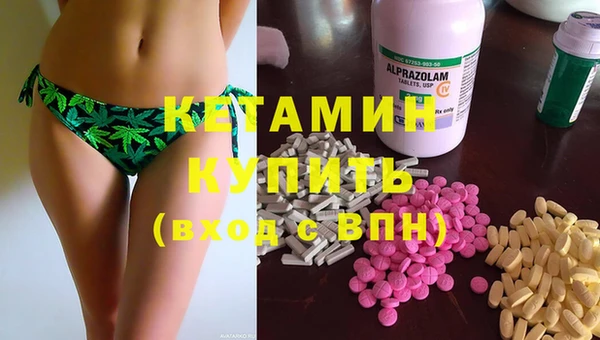 дмт Инта