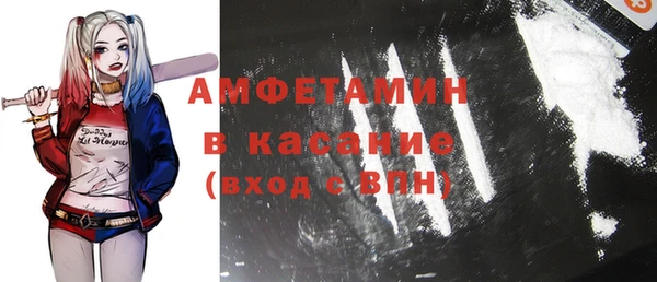 индика Иннополис
