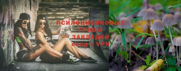 герыч Каменка