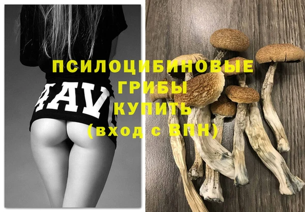 дмт Инсар