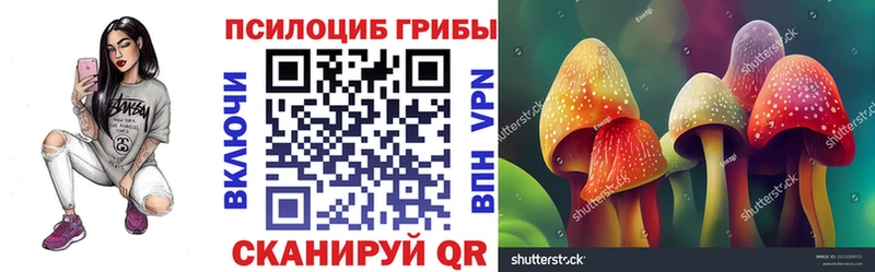 Купить  Семёнов  Псилоцибиновые грибы Cubensis 