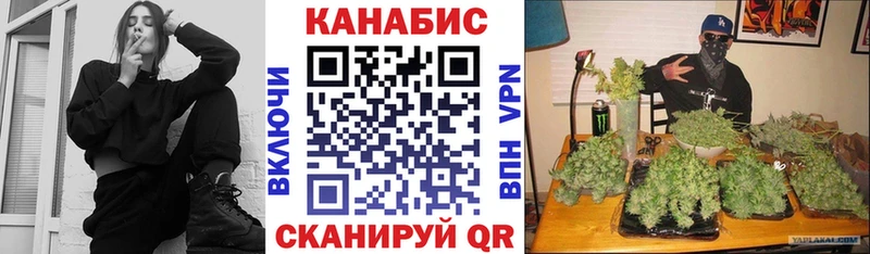 Бошки марихуана OG Kush Семёнов